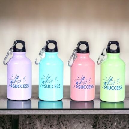 Lot de 12 bouteilles aluminium SUCCESS 350ML (soit 2,68€ unité)