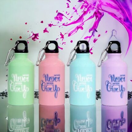 Lot de 12 bouteilles aluminium NEVER GIVE UP 350ML (soit 2,68€ unité)
