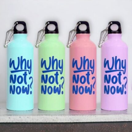 Lot de 12 bouteilles aluminium WHY NOT NOW 550ML (soit 3,22€ unité)