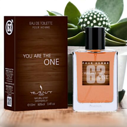 Eau de toilette générique You are the one pour homme