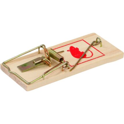 Lot de 12 sets de 2 pièges à souris soit 24 pièges (0,78€ les 2 pièges) : Piège à souris en bois